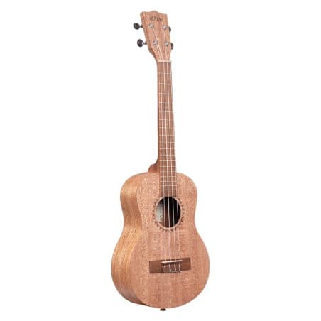 Burled Meranti, Tenor