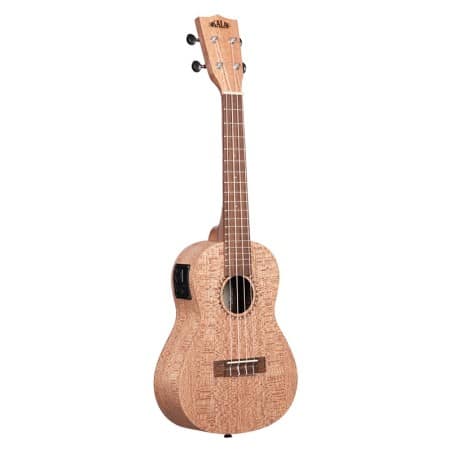 Burled Meranti, Concert électro-acoustique
