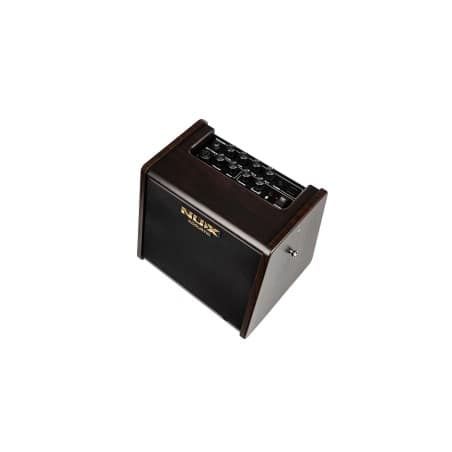 Nux AC-25