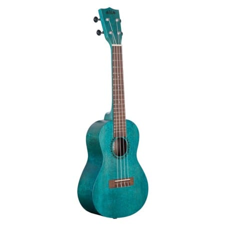 Blue Stained Meranti, Concert
