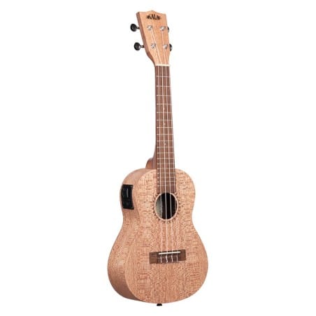 Burled Meranti, Concert électro-acoustique