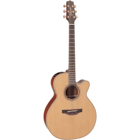 TAKAMINE - P3NC