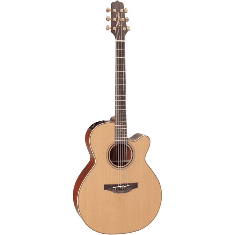 TAKAMINE - P3NC