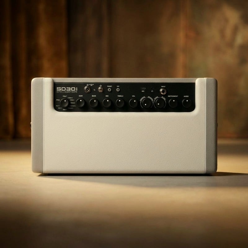 Ampli Mooer SD30I