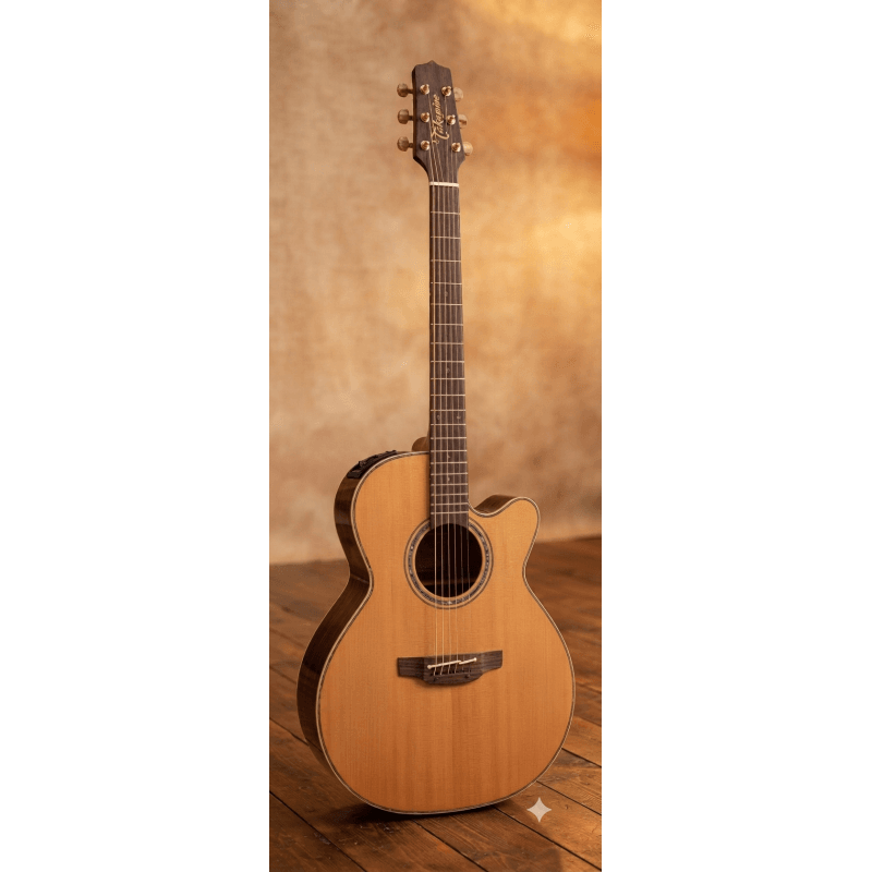 TAKAMINE - P3NC