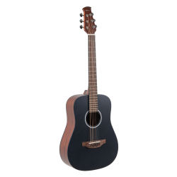 Applause Wood Classics AED96-5HG Black Gloss Electro