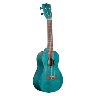 Blue Stained Meranti, Concert