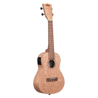 Burled Meranti, Concert électro-acoustique