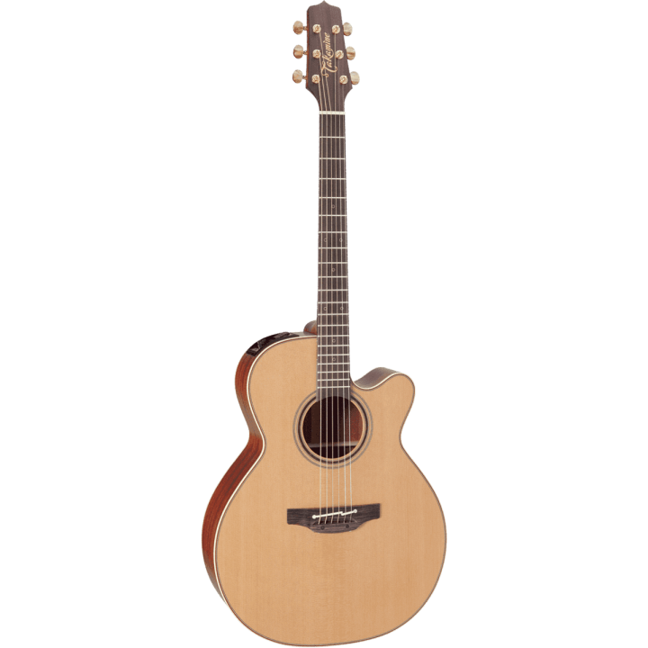 TAKAMINE - P3NC