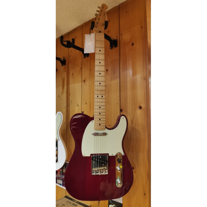 Telecaster Valley Blues