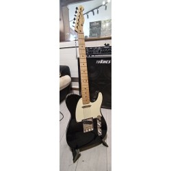 Telecaster Valley Blues