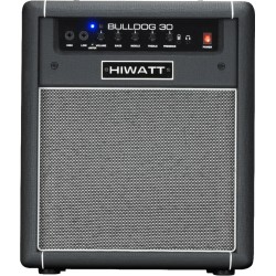 Hiwatt Bulldog 17