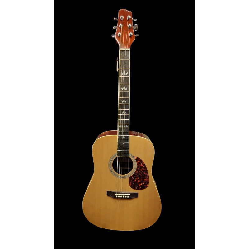 Guitare Folk V&B F871