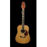 Guitare Folk V&B F871