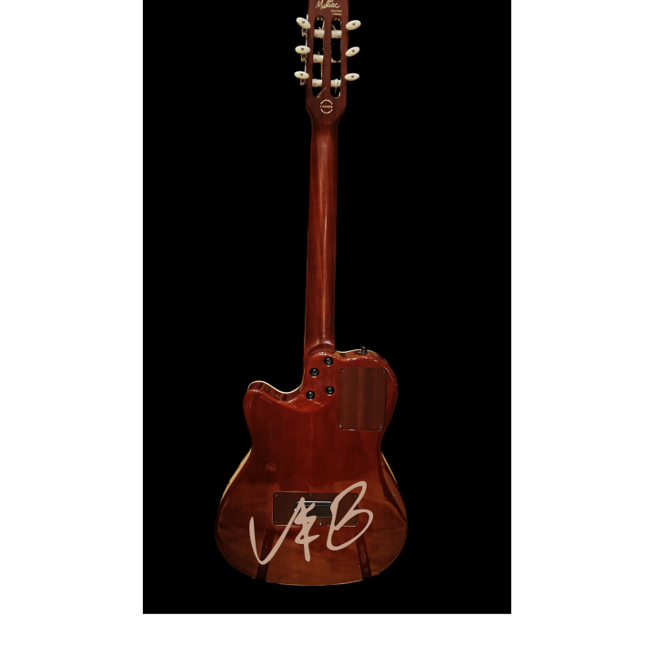 Godin Multiac Duet Ambiance