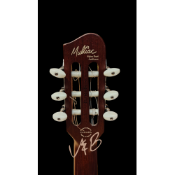 Godin Multiac Duet Ambiance