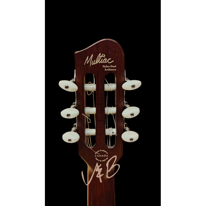 Godin Multiac Duet Ambiance