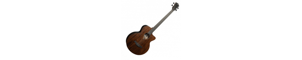 Electro-acoustique