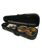 Violon